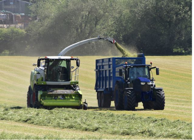 Arable Silage