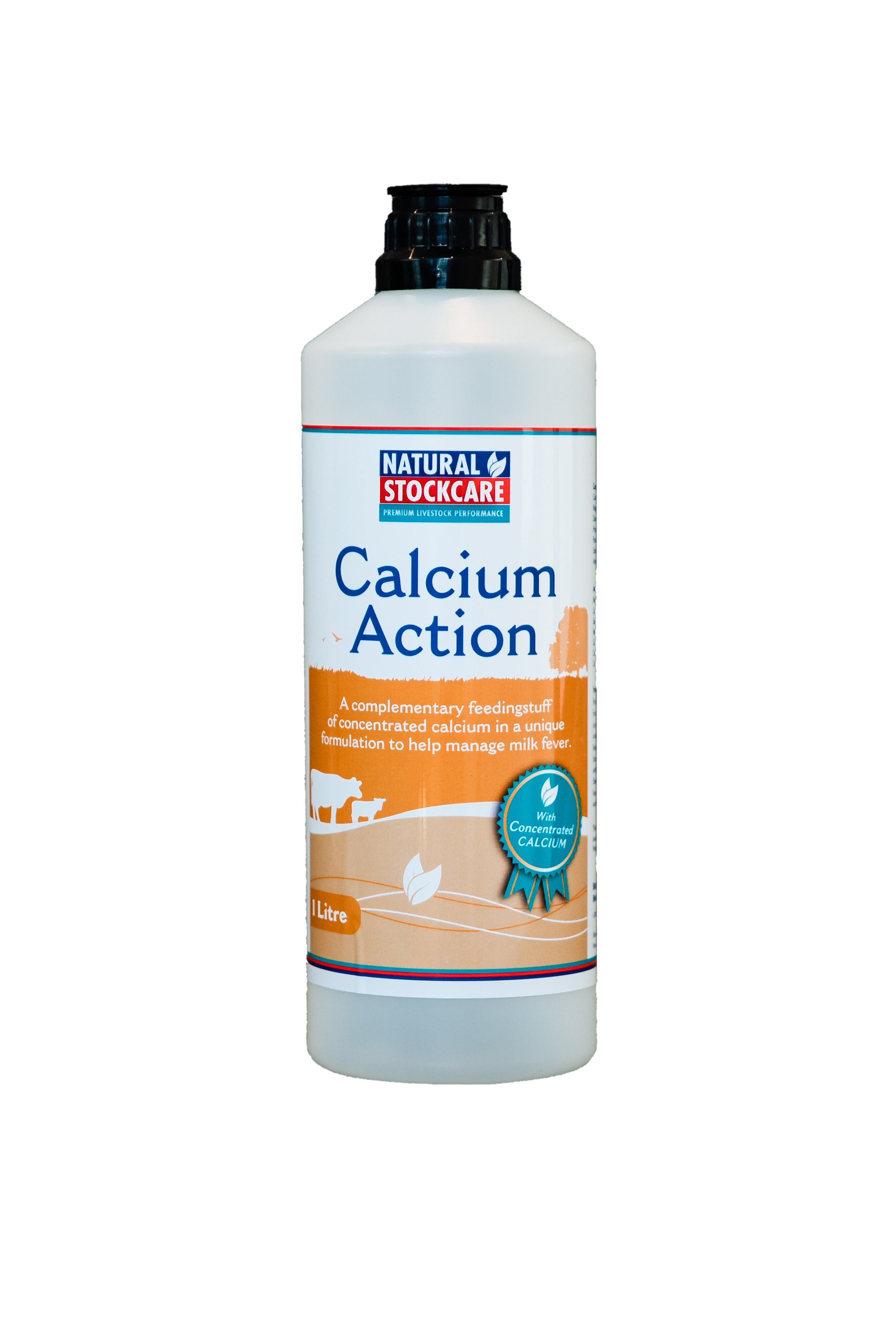 Calcium Action