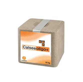 CalseaOligo+