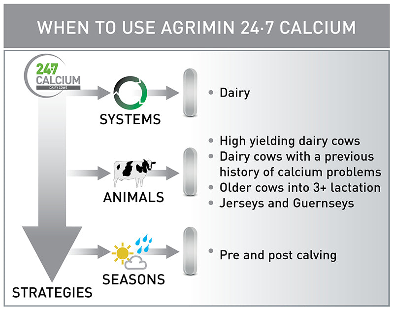 Agrimin 24 7 Calcium Diary Cows Bolus