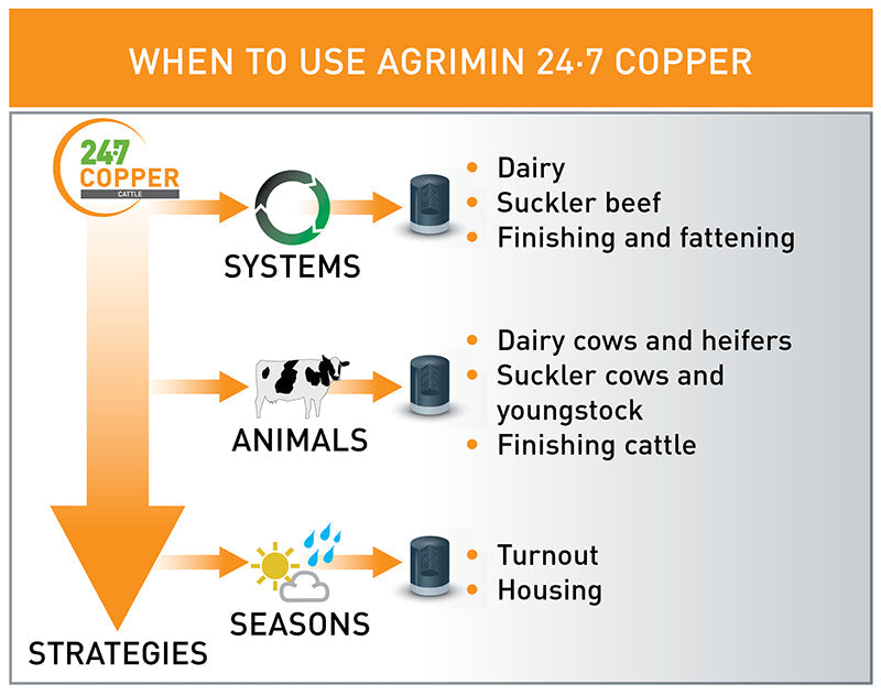 Agrimin 24 7 Copper Cattle Bolus