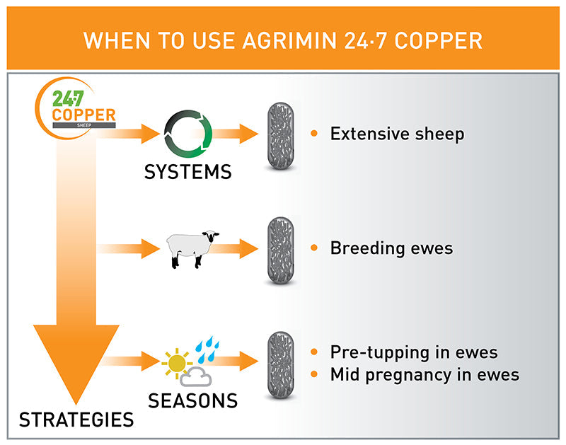 Agrimin 24 7 Copper Sheep Bolus