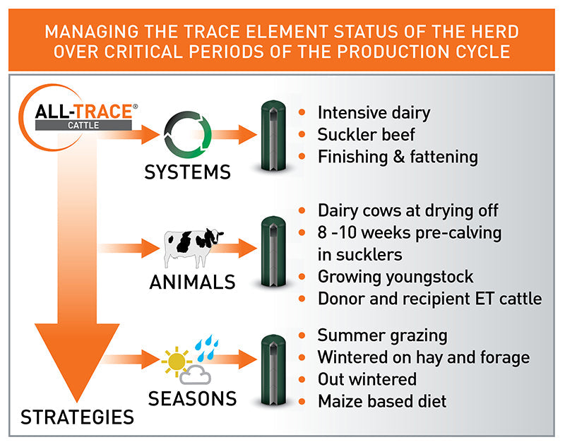Agrimin All-Trace Cattle Bolus