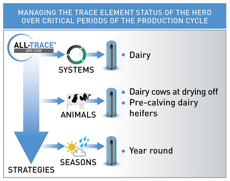 Agrimin All-Trace Organic Cattle Bolus