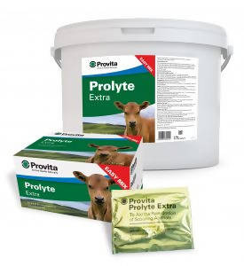 Provita Prolyte Extra (pack of 12)