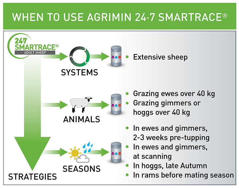 Agrimin 24 7 Smartrace Adult Sheep Bolus