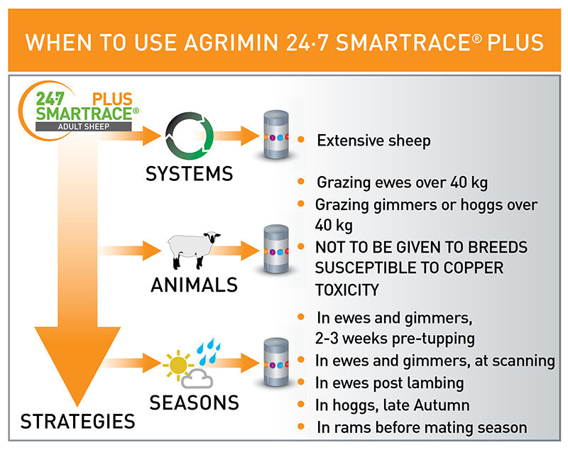 Agrimin 24 7 Smartrace Plus Adult Sheep Bolus