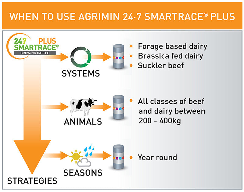 Agrimin 24 7 Smartrace Plus Growing Cattle Bolus