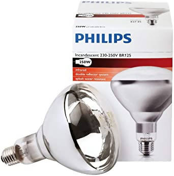 Heat Lamp Bulb - 250 W (6 Pack)